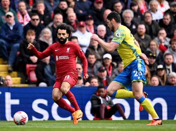 回顾德甲勒 回顾德甲勒