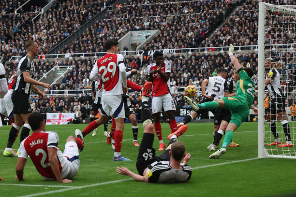 你希望看到 你希望看到